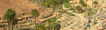 Vega de Rio palmas auf Fuerteventura