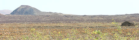 Lavafelder auf Fuerteventura