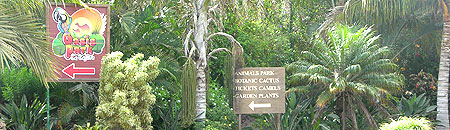 Oasis Park und Kaktusgarten auf Fuerteventura