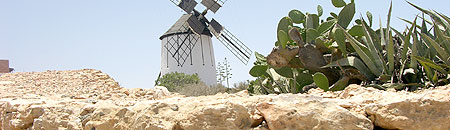 Mühlen auf Fuerteventura