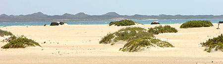 Playa Bajo Negro in Corralejo