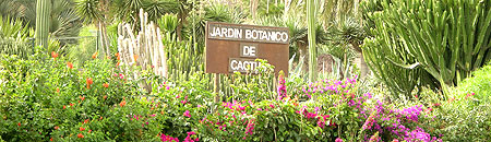Botanischer Garten auf Fuerteventura
